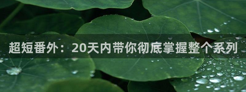 yy漫画韩国漫画：超短番外：20天内带你彻底掌握整个系列