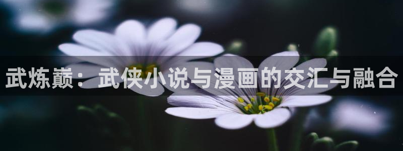 歪歪漫画?喷水漫画yy漫画：武炼巅：武侠小说与漫画的交汇与融合