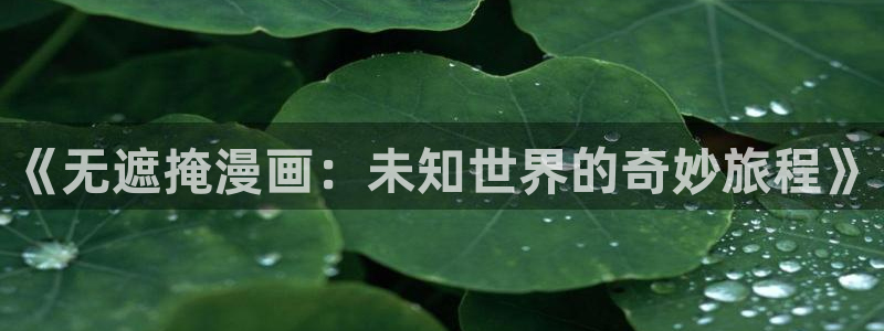 yy漫画免费阅读看漫画下拉式：《无遮掩漫画：未知世界的奇妙旅程》