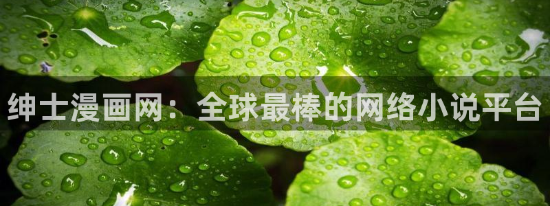 yy漫画在线观看免费：绅士漫画网：全球最棒的网络小说平台